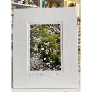 Original Photography 5X7 Picture Double Matted For 8X10 Frame